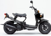 Honda Zoomer Honda Zoomer